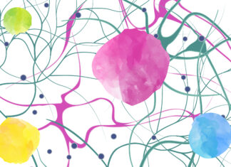 A Brain Nutrition Program for Concussion Recovery & Support Brain Neurotransmitters