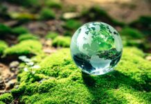 10 Simple Ways to Live More Sustainably