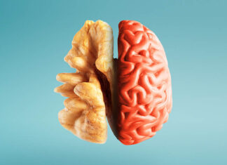 Eating for Mental Clarity Eating for Mental Clarity