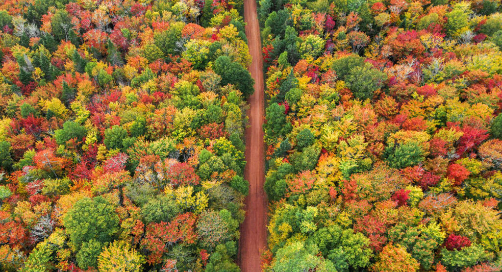 Prince Edward Island – Confederation Trail   
