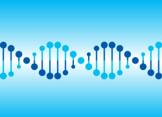 Reduce Your Cancer Risk