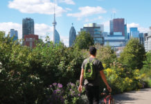 What Makes a Healthy Community?