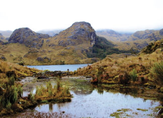 Adventure in the Andes El Cajas National Park Ecuador