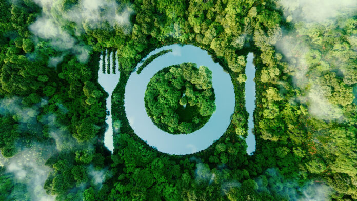 Web Header Images-Fall4