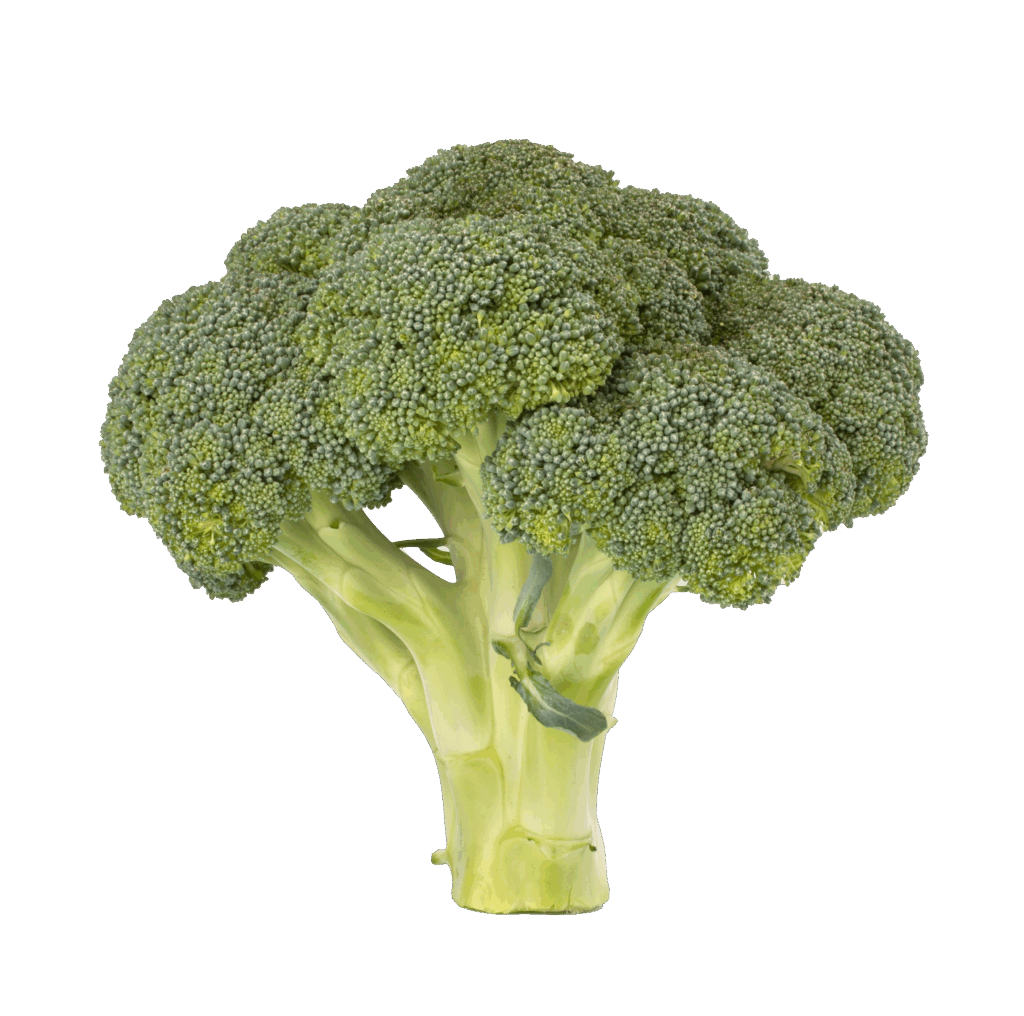 Broccoli