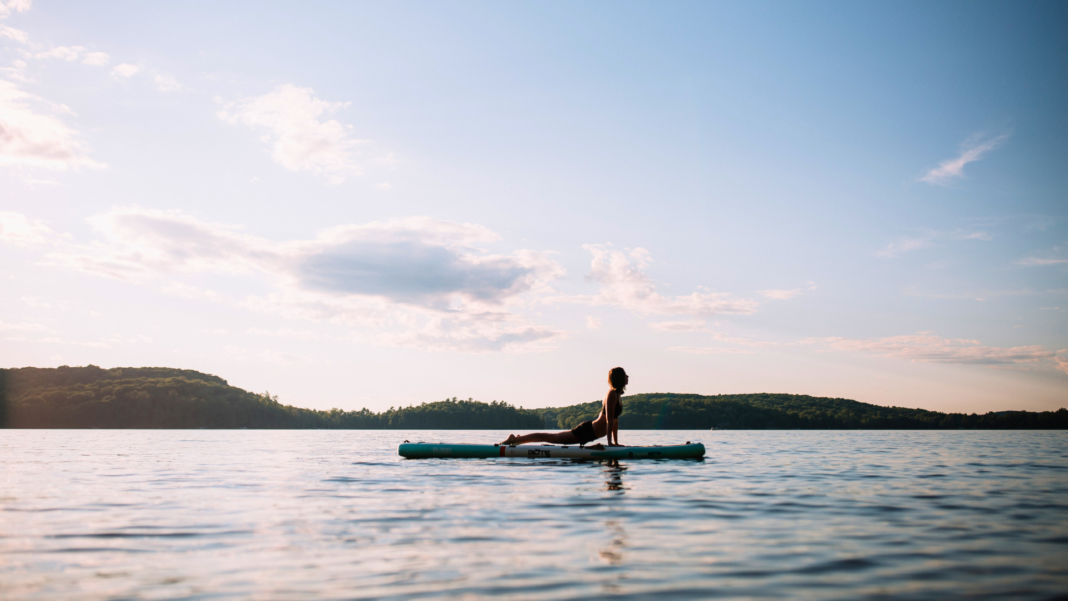 SUP Yoga. Wolf SUP Yoga practices upward facing dog on her paddleboard SUP Yoga. Wolf SUP Yoga practices upward facing dog on her paddleboard